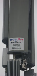 WestNet Wireless Dedicated IP 1 YEAR YYC-WESTNET_CALIFORNIA